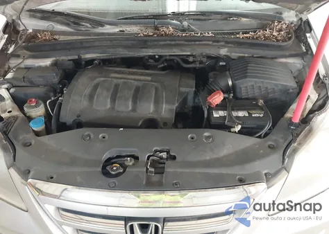 2006 Honda Odyssey Ex-L из США, поврежденный, VIN 5FNRL38646B409461